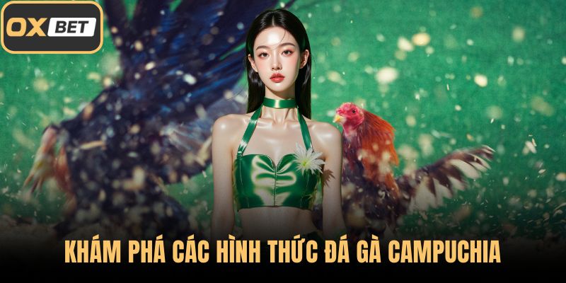 Khám phá các hình thức đá gà Campuchia